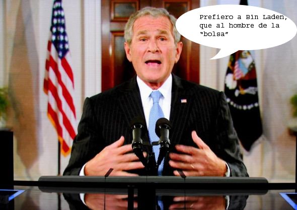 [Foto+01+bush+copy.jpg]