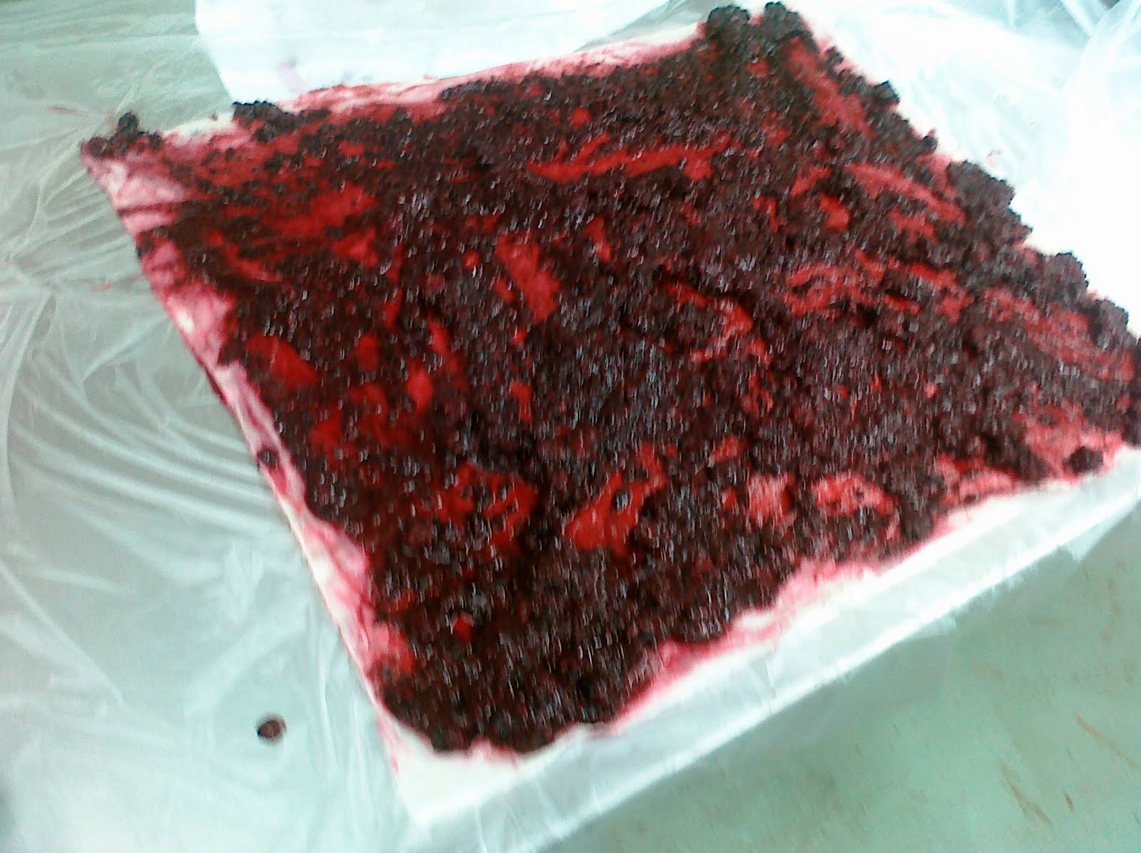 Earthful Dyepot BLACKBERRY FABRIC DYEING
