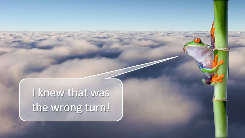 [Composite+images.jpg]