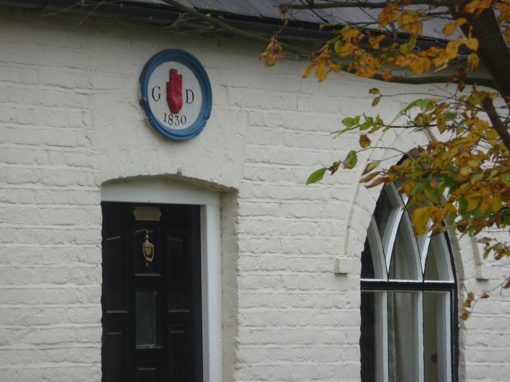 HERBIE! Strange mysteries of Sir Duckett