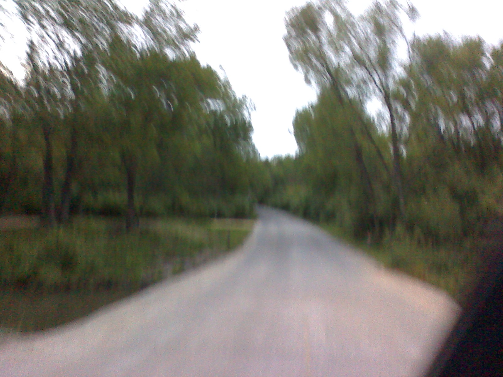 Musings from Illinois: Harbor Freight Food Dehydrator