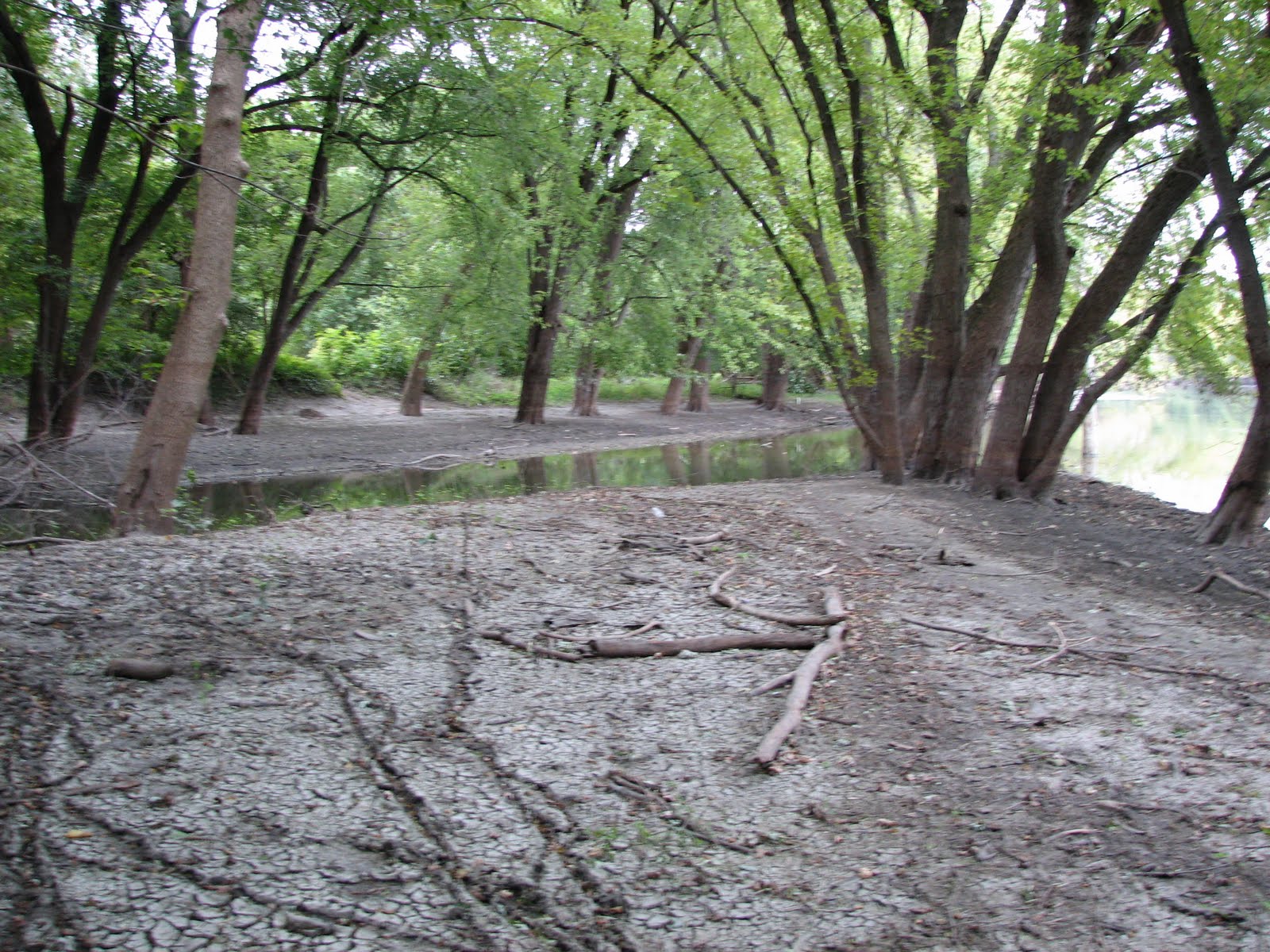 Escape to Nature's Embrace: Your Guide to Hononegah Forest Preserve