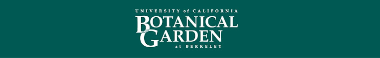 UC Botanical Garden Vines Nursery