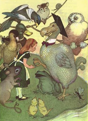 Alice in Wonderland, La course au Caucus, dodo, Marjorie Torrey