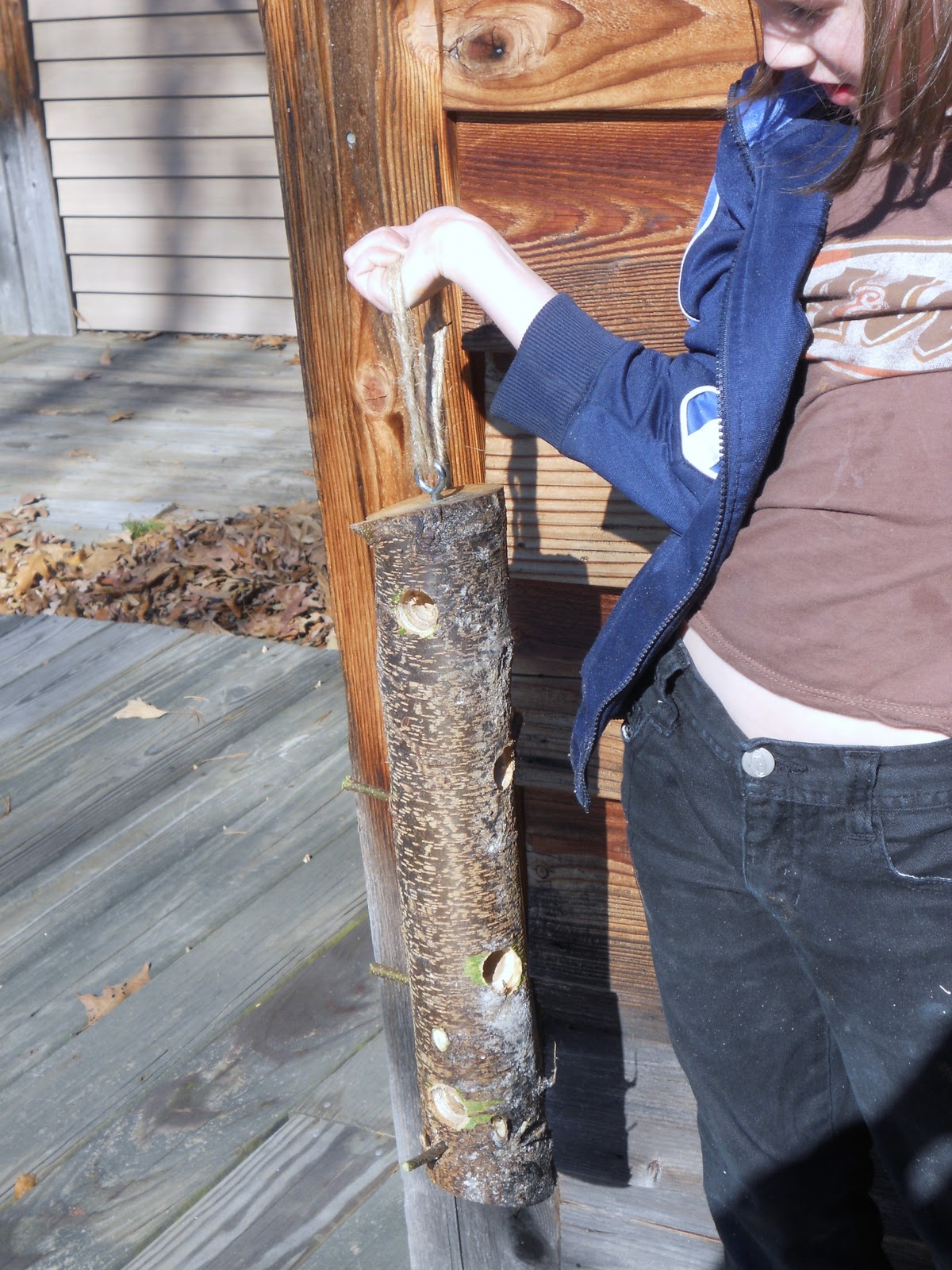 The Five of Us How to Make a Suet Log Feeder