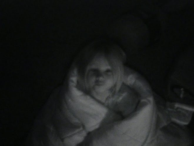 I didnt know if they would actually fall asleep, but they did around 10pm.