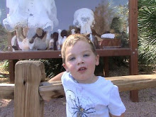 Easton loved the Elephant skulls.