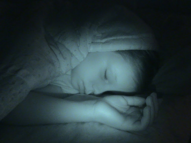 Dixie, with visions of sugar plums in  her head