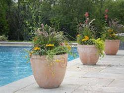 pool pots around planters garden outdoor pools landscaping plants backyard patio princeton container memorial planter living perennials low side planted
