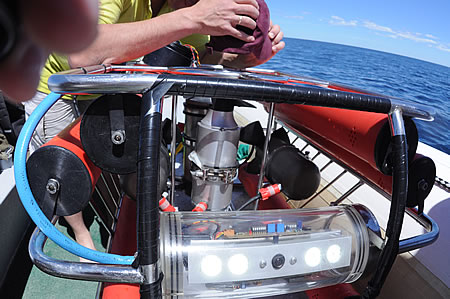 Camara y luces del Rov de Mariscope