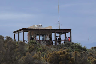 Mirador de Punta Norte Península Valdés