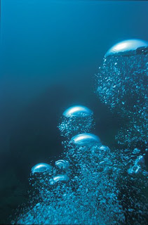 Burbujas en un Buceo en Puerto Pirámides