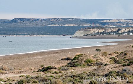 Extensa playa, El Doradillo es la Cuna de las Ballenas Francas Extensa playa, El Doradillo es la Cuna de las Ballenas Francas