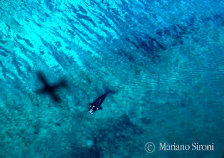 Fotografía Aérea de Ballenas francas en Península Valdés
