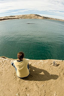Avistajes de Ballenas desde la Costa - El Doradillo y Puerto Pirámides