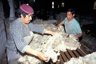 La esquila de Ovejas en Península Valdés
