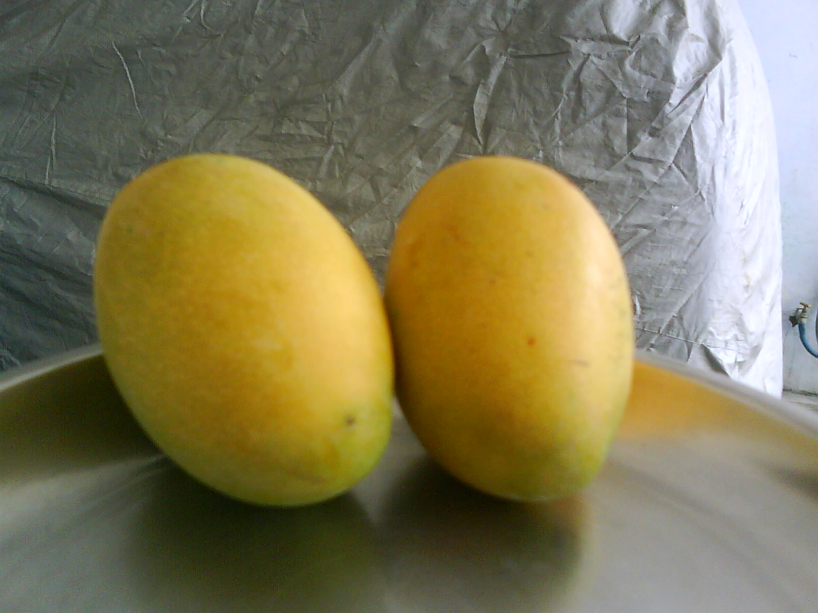 Nature's Tropical Summer Gift Mangoes Do Cause Boils? « Use Homeopathy