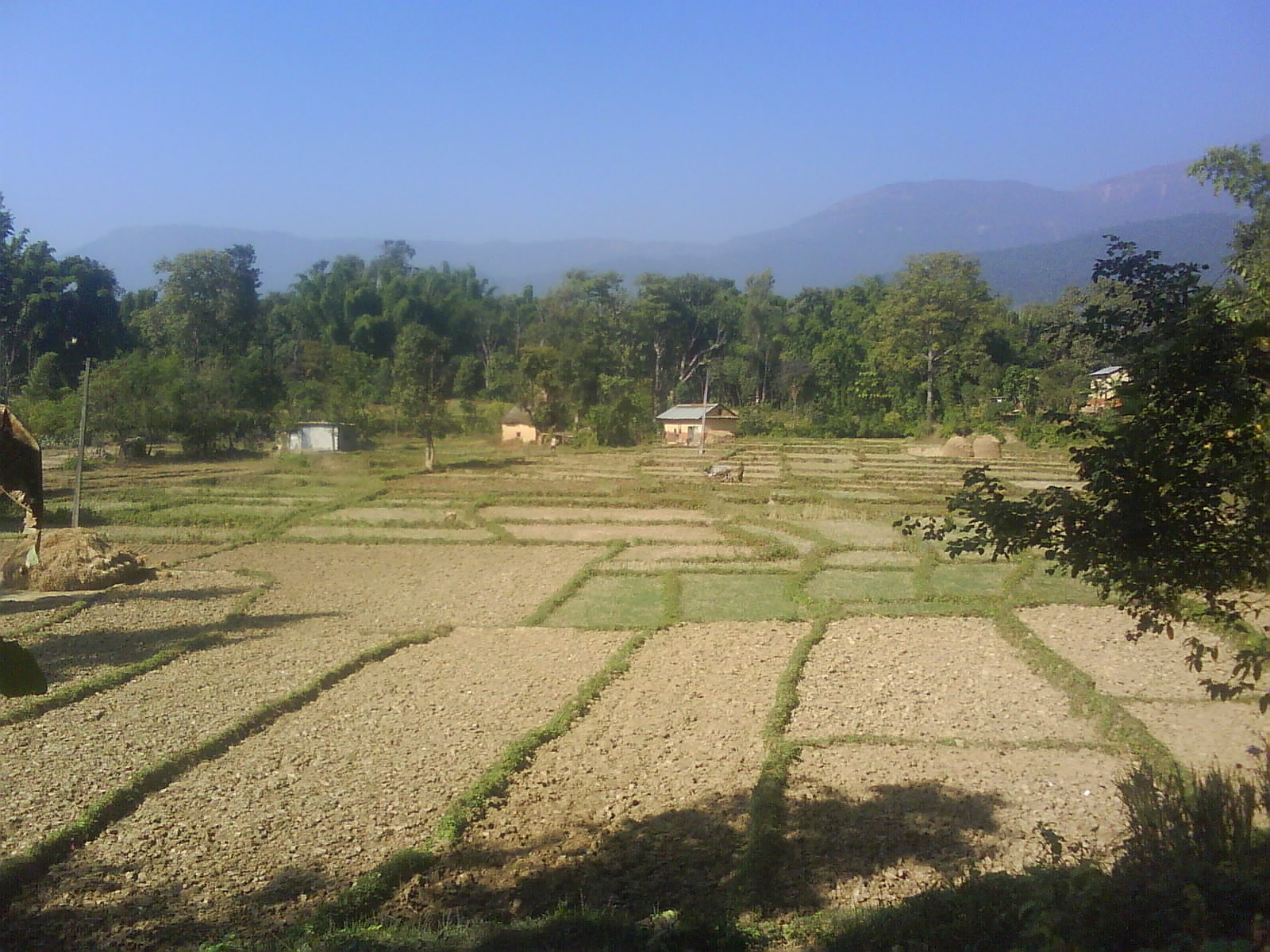 My Journey To Surkhet Nepal « Use Homeopathy And Be Healthy