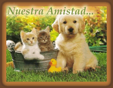 amistad.gif