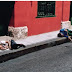 Nuestros hijos duermen el la calle de Cartagena