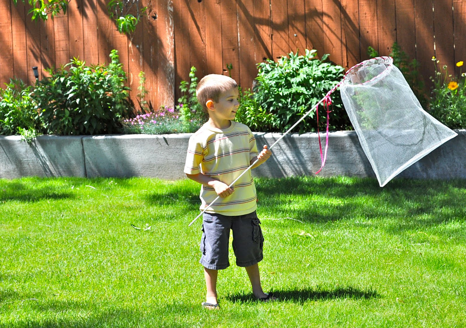 Homemade Butterfly Net from Little Birdie Secrets