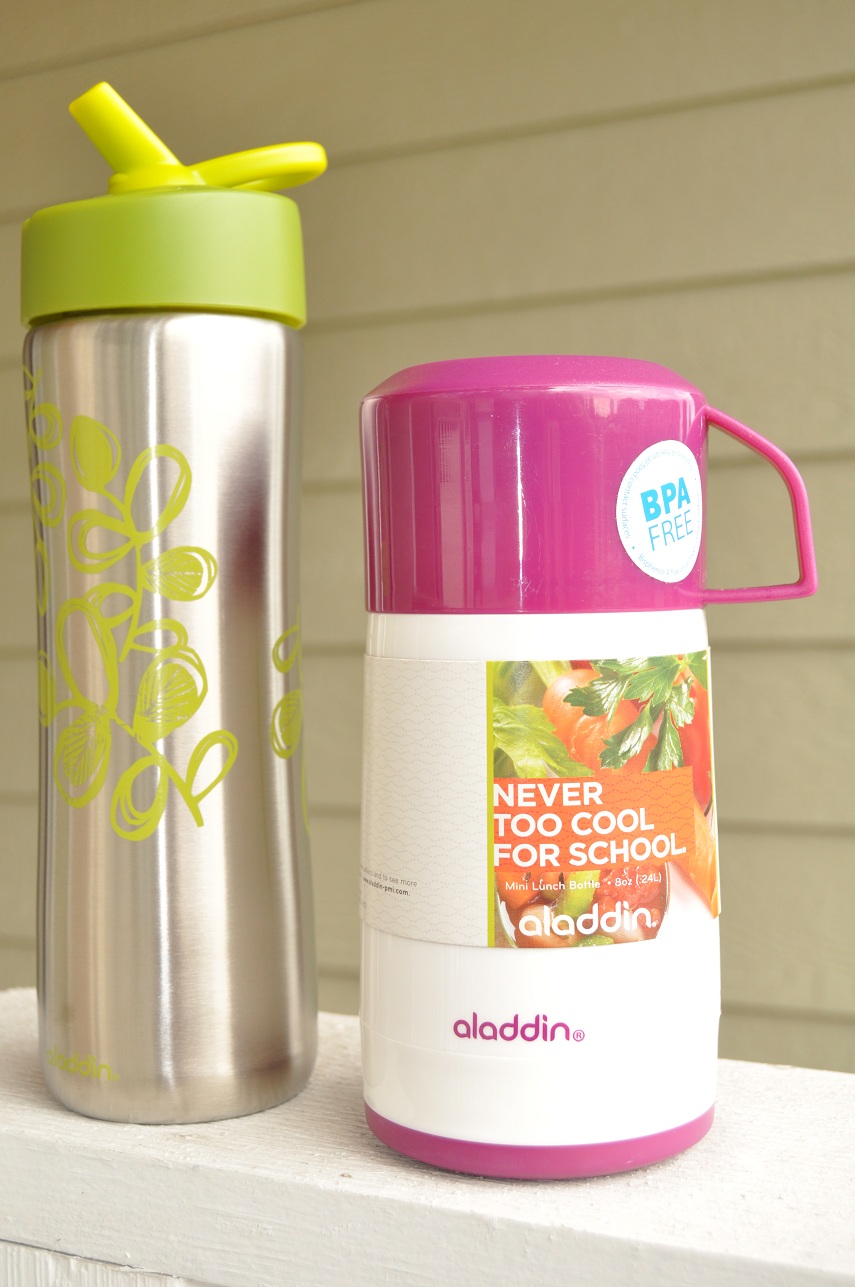 aladdin product review | Little Birdie Secrets