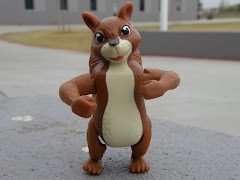 MACRO SQUIRREL