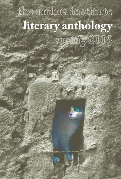 [LitAnthCOVER.jpg]