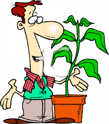 plants cartoon clipart plant talking cartoons scientists nanoparticles seed funny florist clip grow experiment needs need cut language synthesise ready