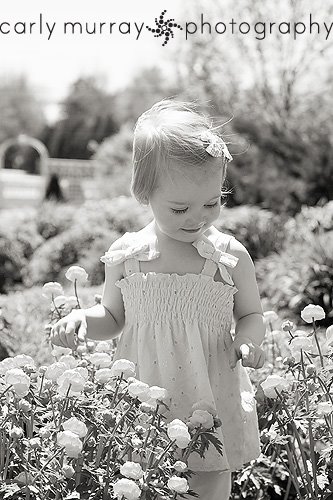 [IMG_0533+copyWM.jpg]