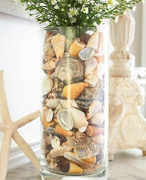 Como Hacer Adornos Decorativos Con Arena De Mar Y Conchas Como Hacer Adornos Decorativos Con Arena De Mar Y Conchas