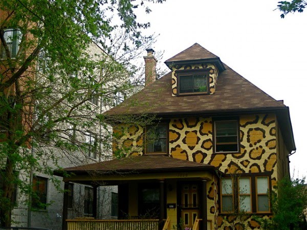Cheetah House in Chicago