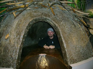 Plaid Cats: Inside a Beaver Dam