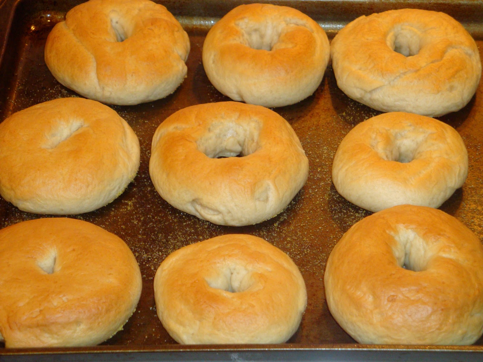 Have the Cake Boiled Bagels