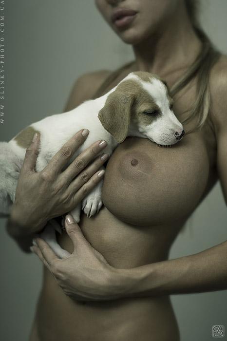 cachorro dormindo peito mulher