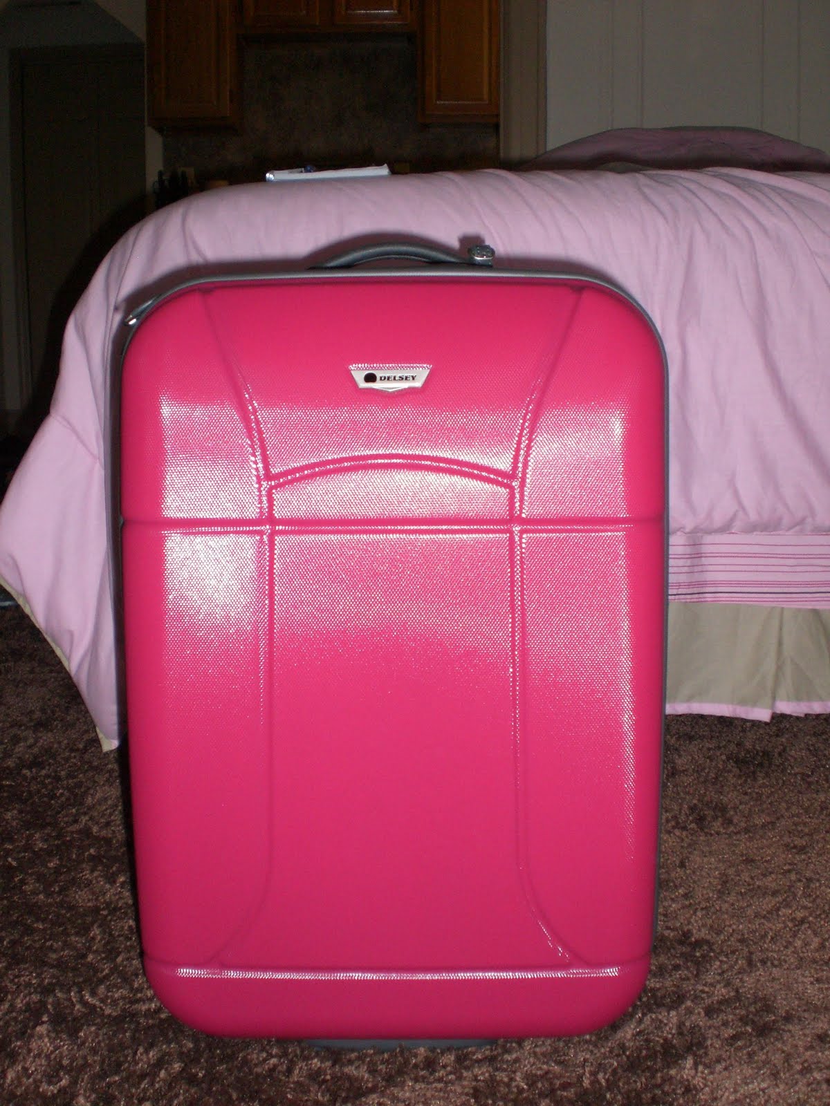 [pink+suitcase.jpg]