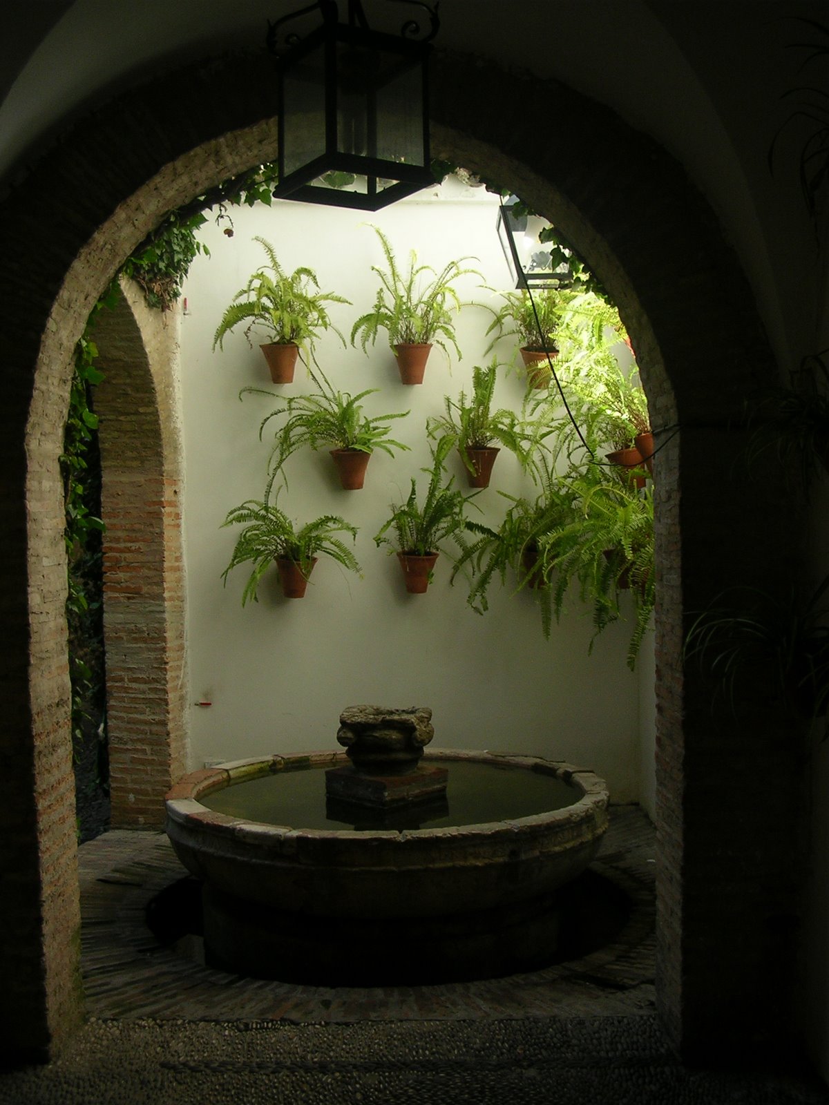 [Img3563.JPG]