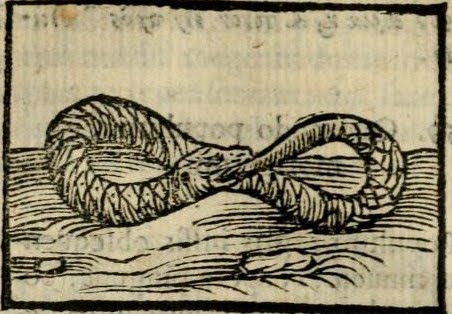 [Horapolo+Serpiente-ouroboros..jpg]