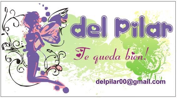 bolsos del Pilar  -- Te queda bien