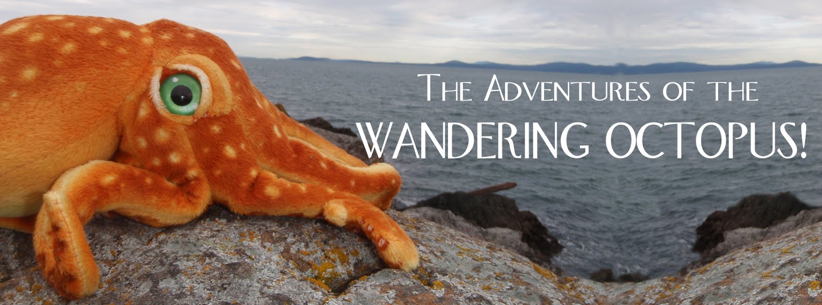 The Adventures of the Wandering Octopus