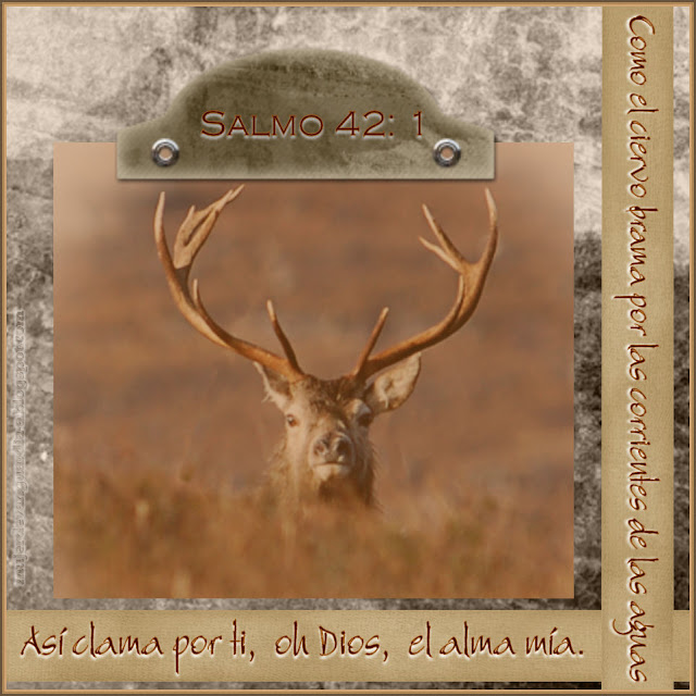 Mi alma clama por ti