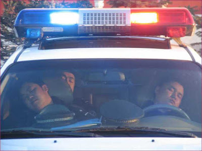 Image+%3D+Sleeping+Policemen.jpg