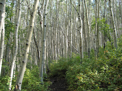 Day 7 – Rest for the Weary