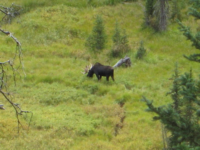 Day 5 – An Epic Adventure