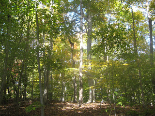 Marathon des Sables Training: Weeks 1-8