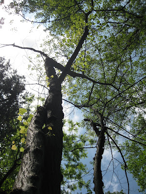 2009 MMT Photo Update