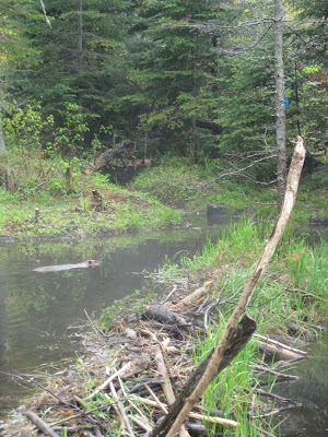 iRunFar Summer Road Trip #2 – Onwards and Upwards