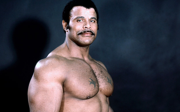 DUNIA GUSTI: -Rocky Maivia Johnson ( 3rd generation wrestler )