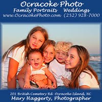 Family Portraits and Weddings