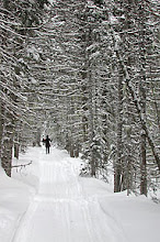 skiing the Cariboo Waggon Road